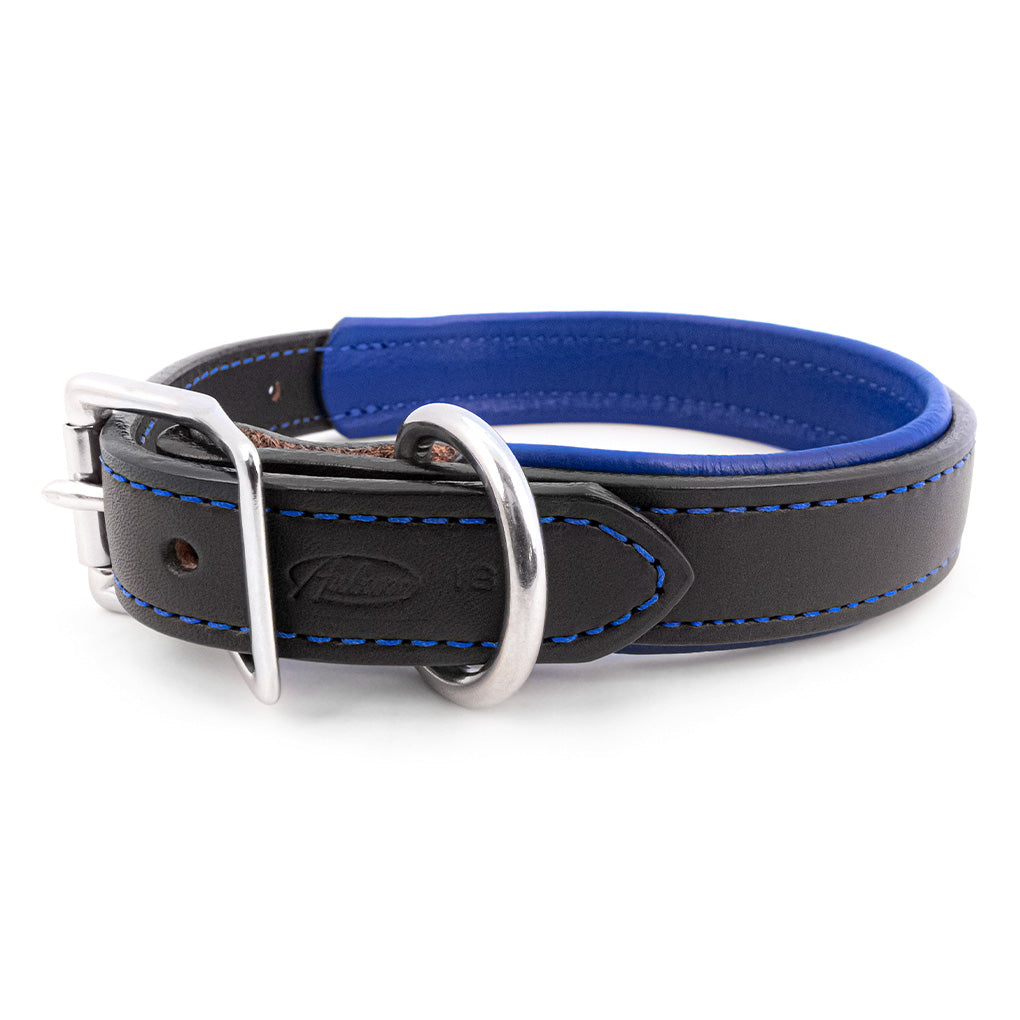 Padded Leather Dog Collar