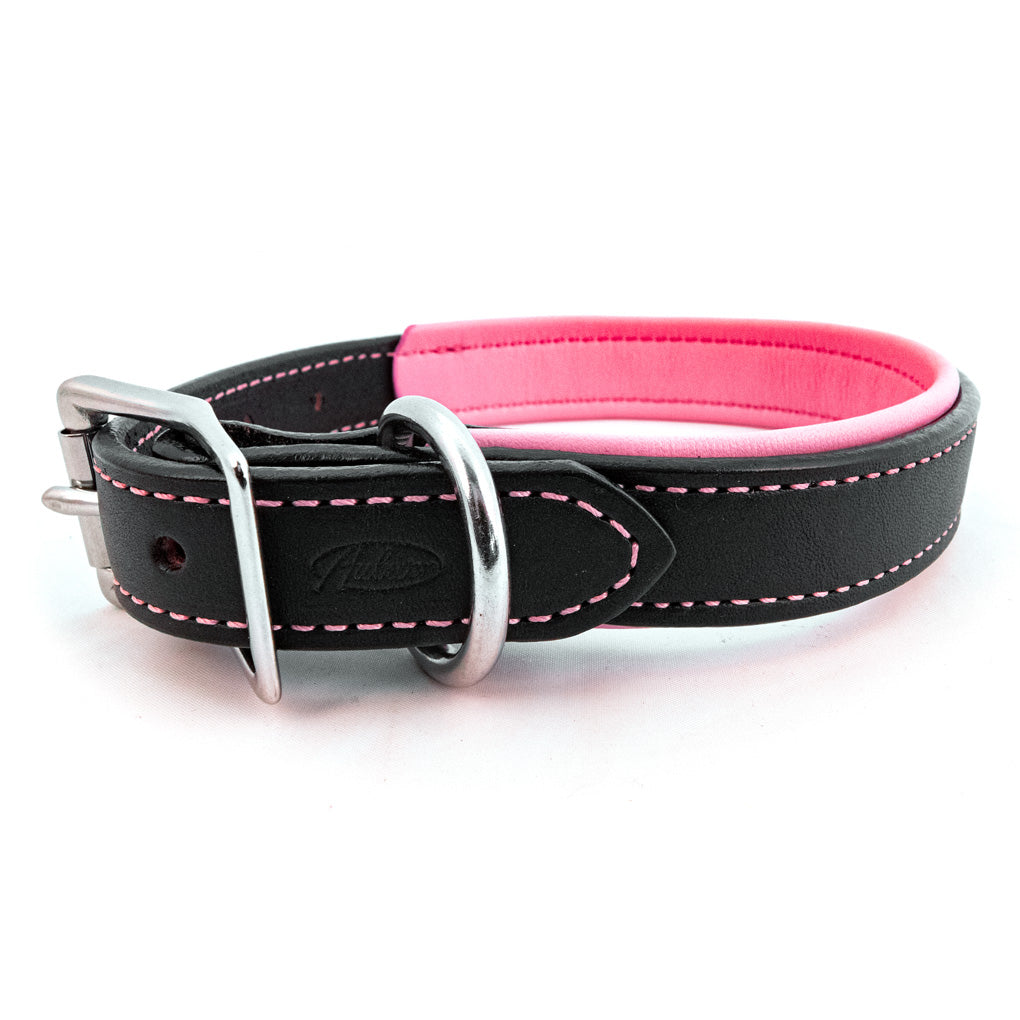 Padded Leather Dog Collar