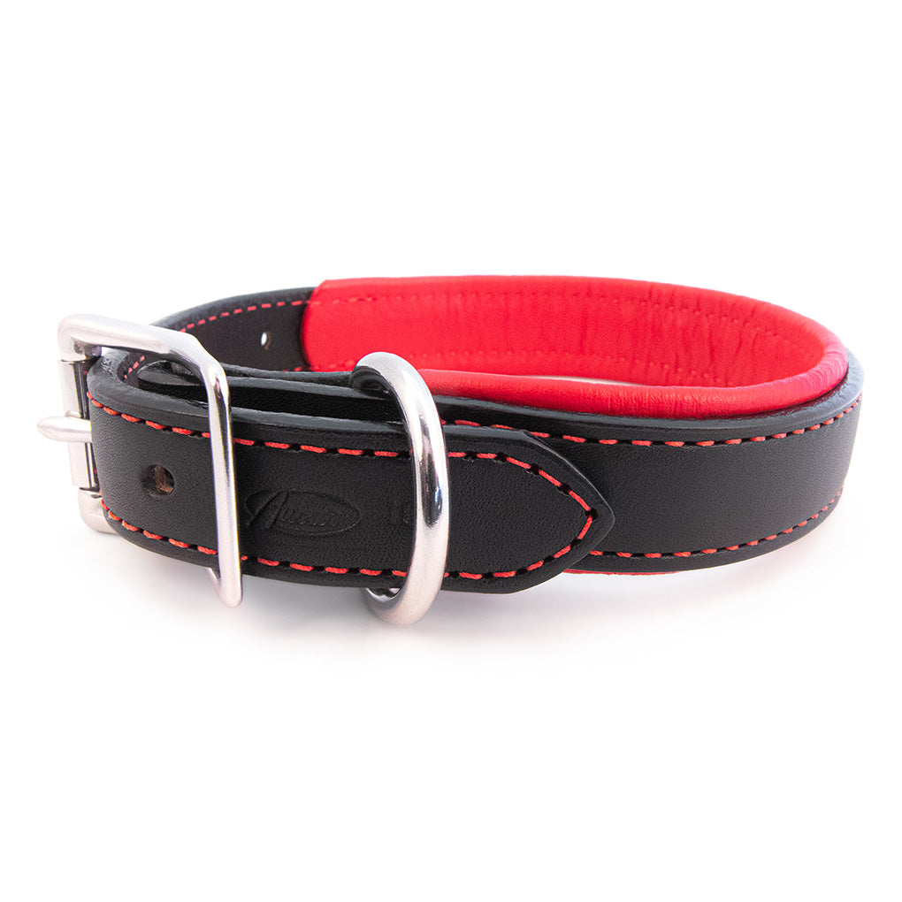 Padded Leather Dog Collar