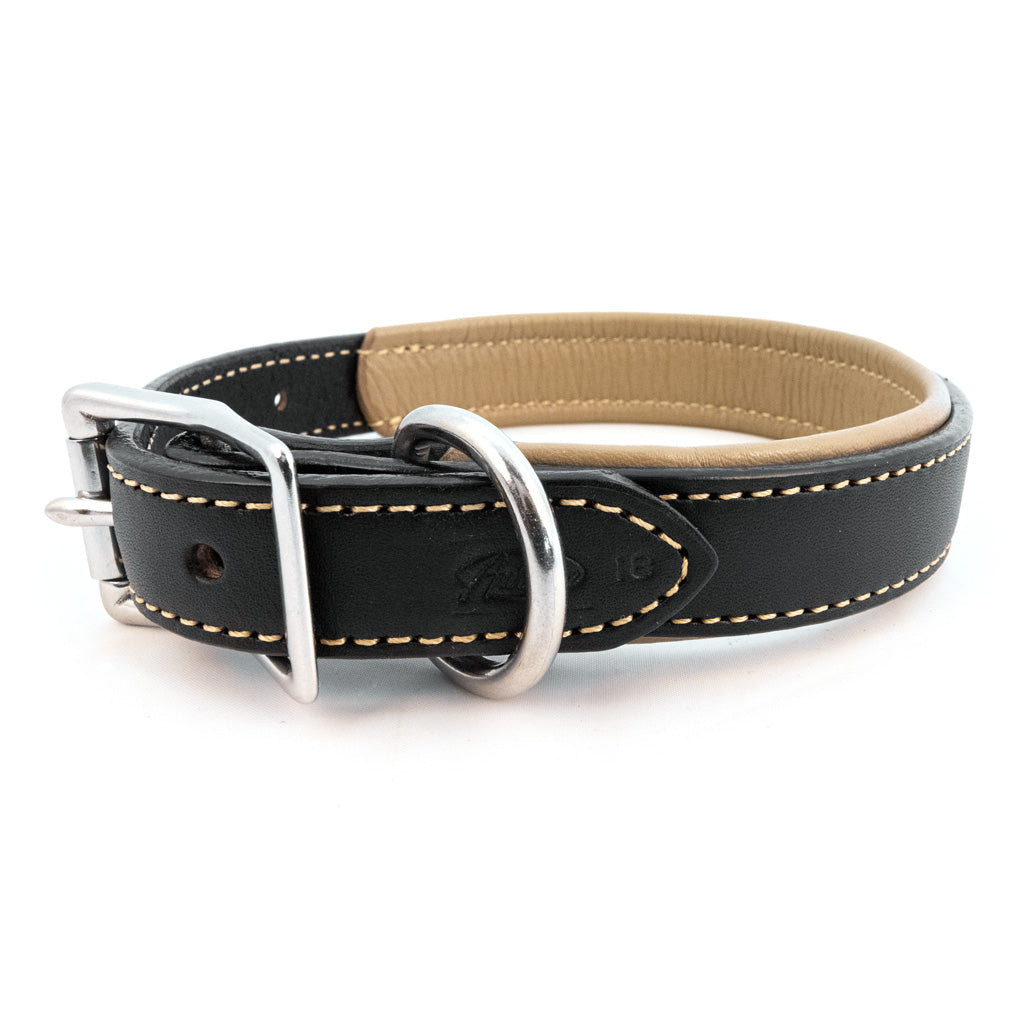 Padded Leather Dog Collar