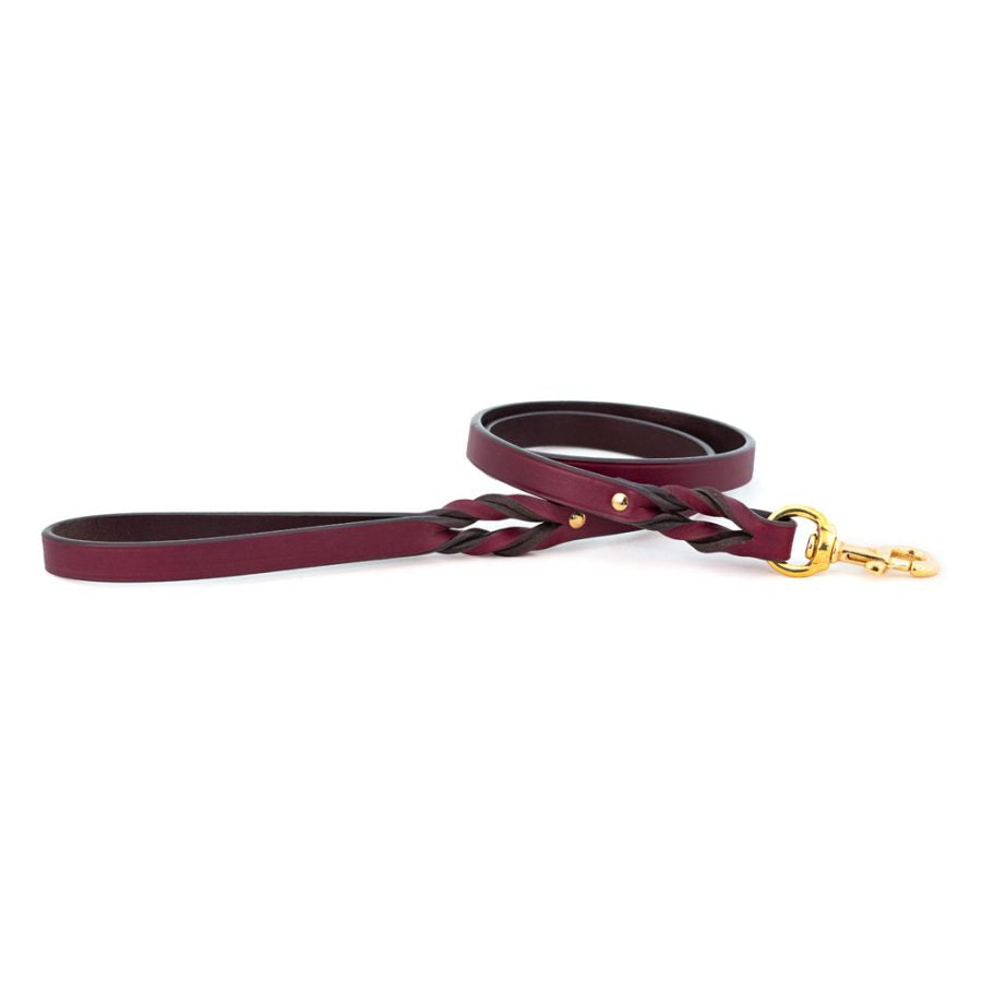Braided Leather Dog Leash