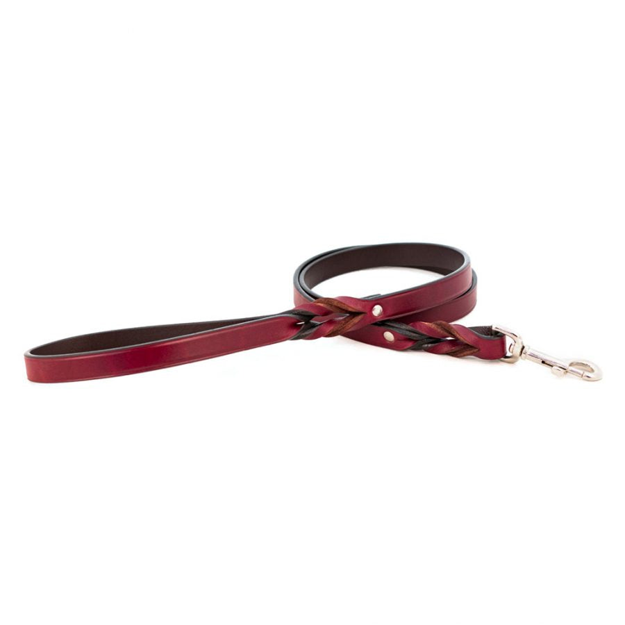Braided Leather Dog Leash