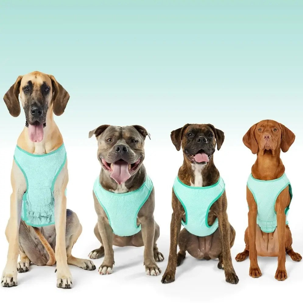 Cooling vests for dogs best sale