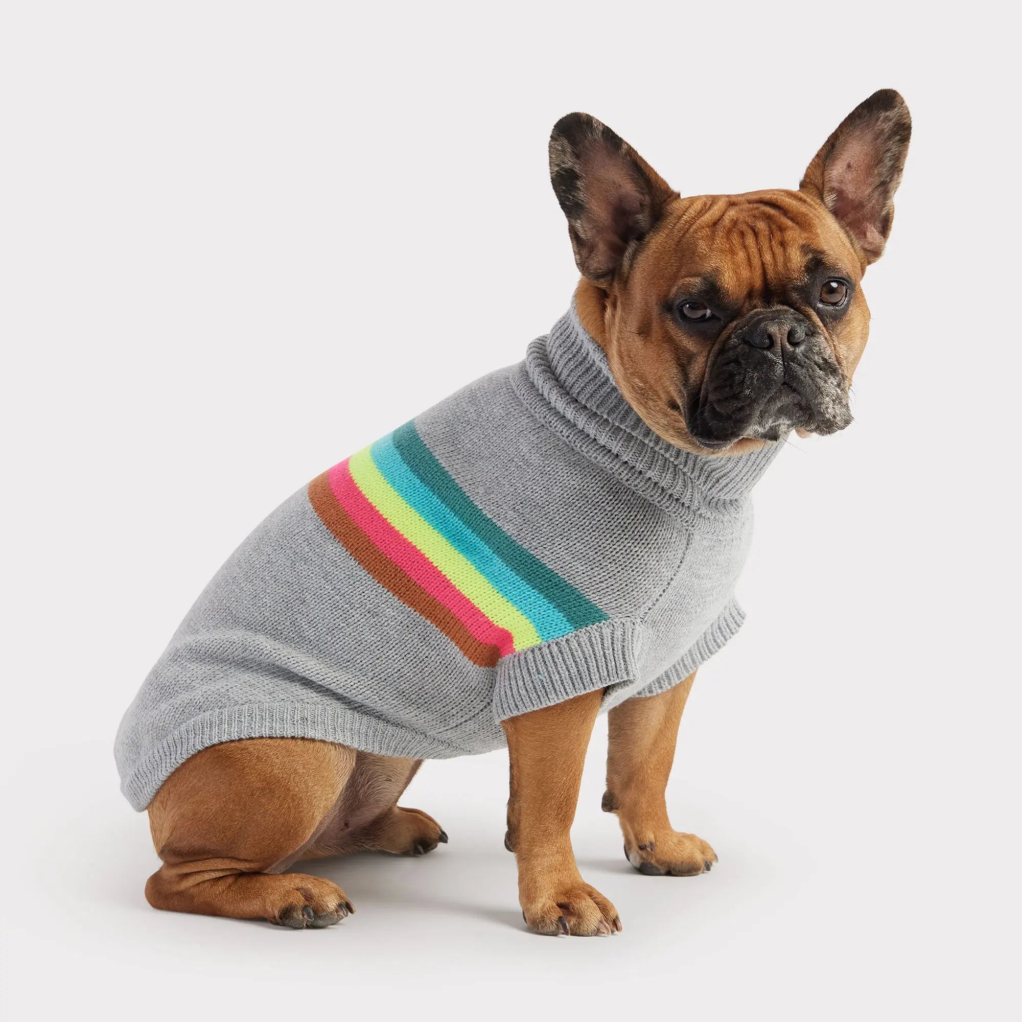 Retro Turtleneck Dog Sweater - Grey