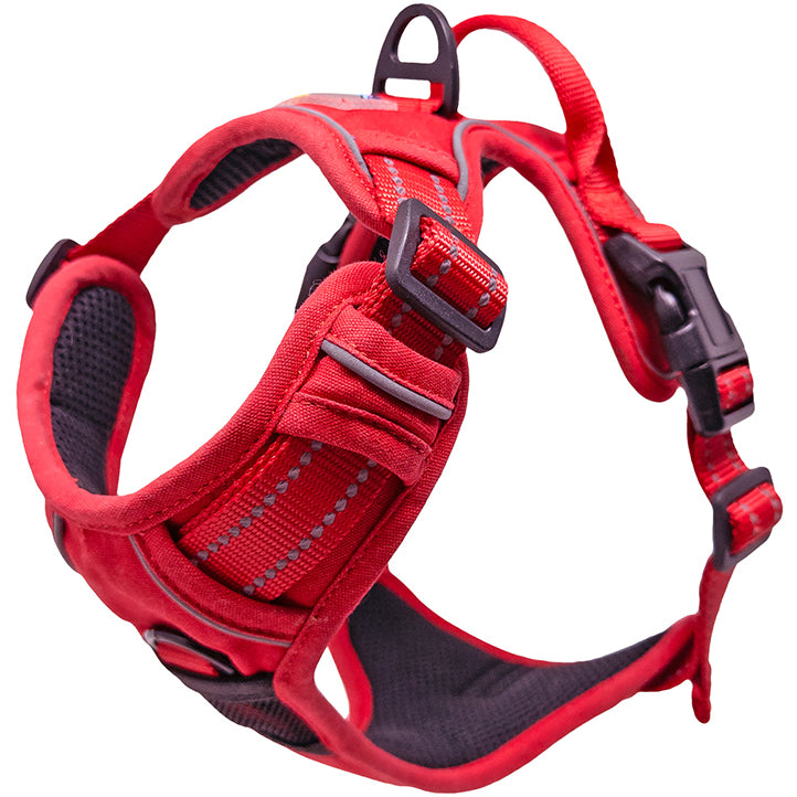 dog harnesses for large dogs