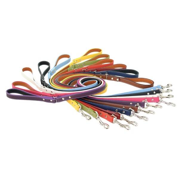 Dog Leash