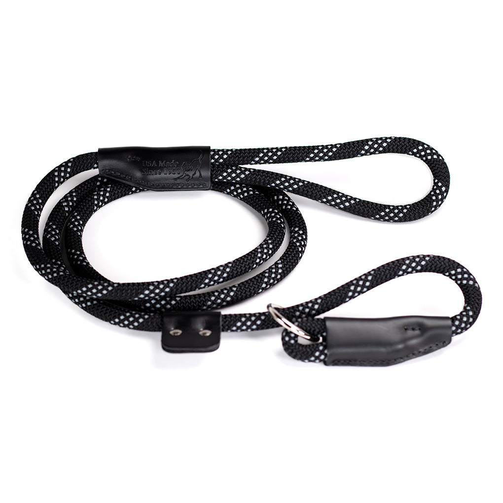 slip dog leash