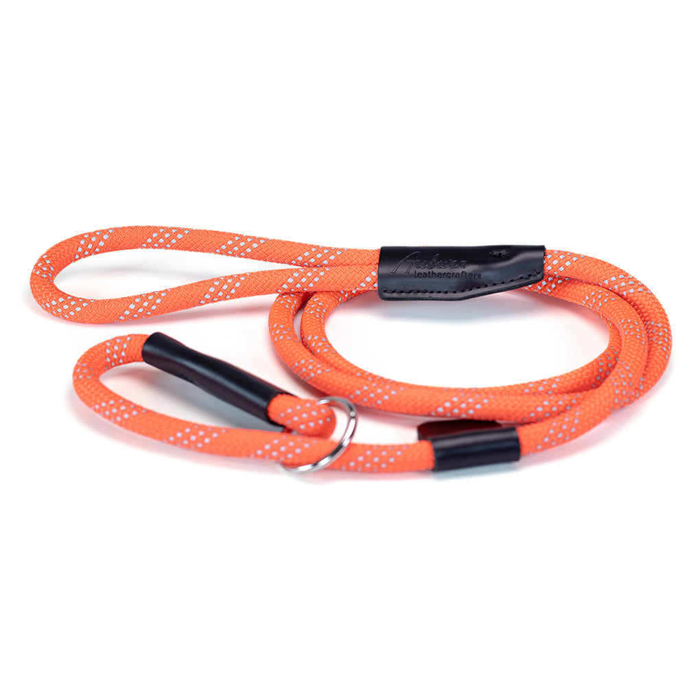 Rope dog leash