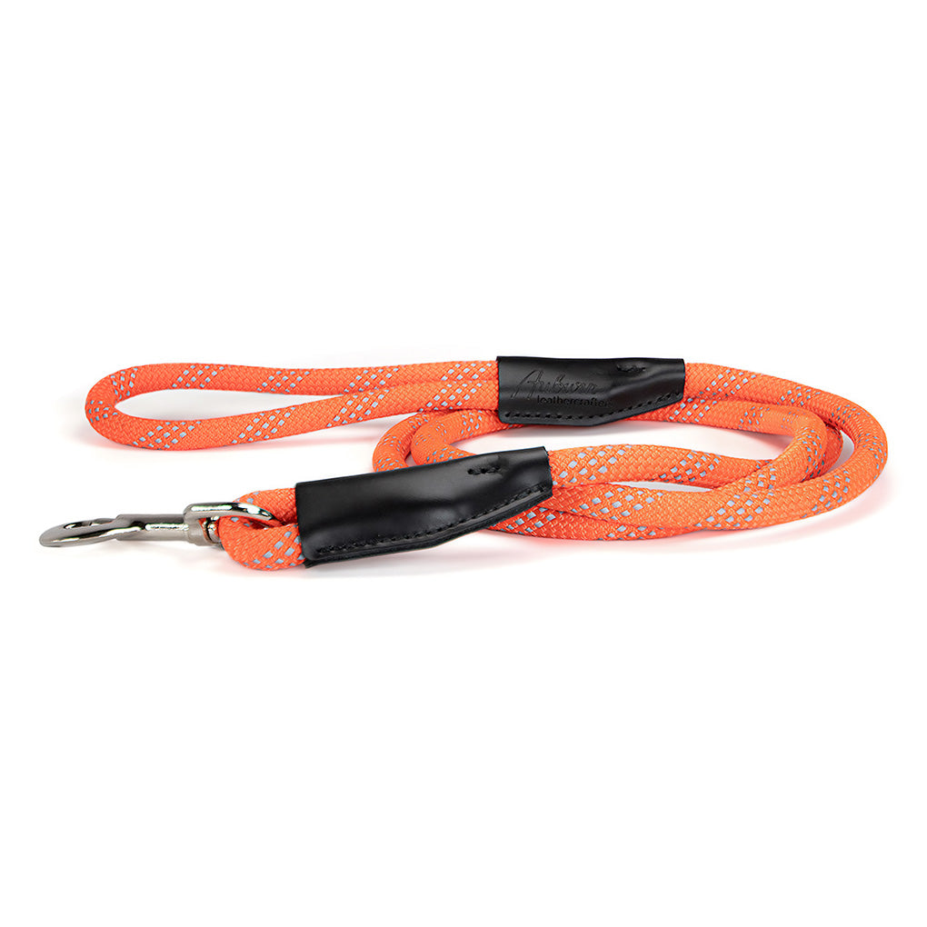 Reflective Rope Dog Leash Snap End