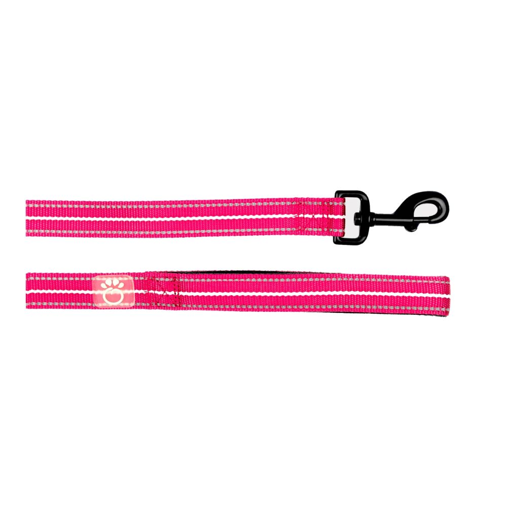 Reflective Dog Leash