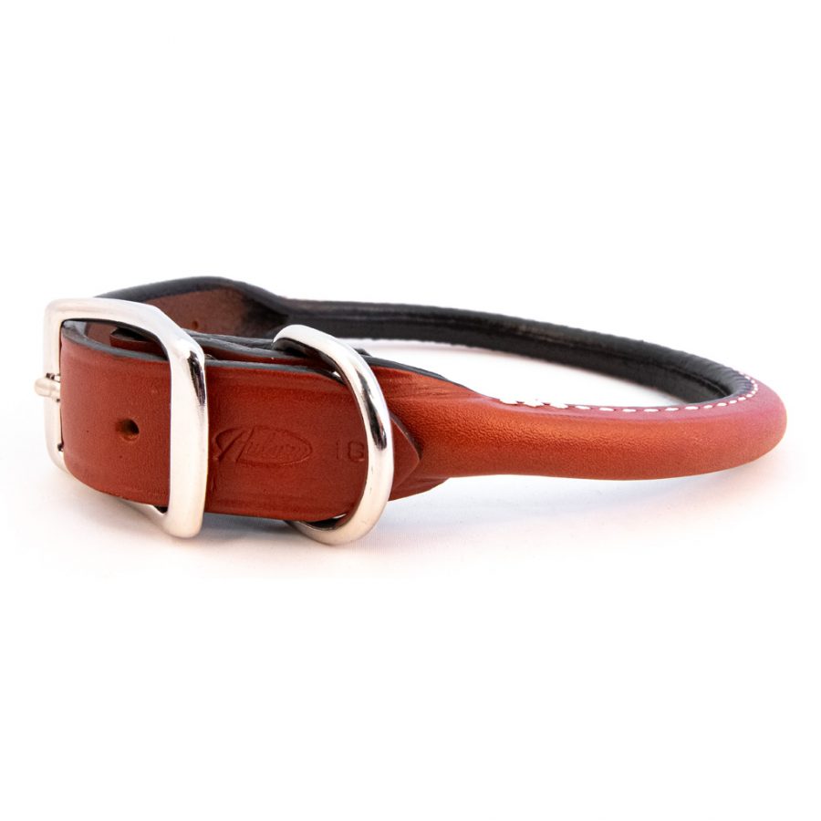 rolled leather dog collar tan