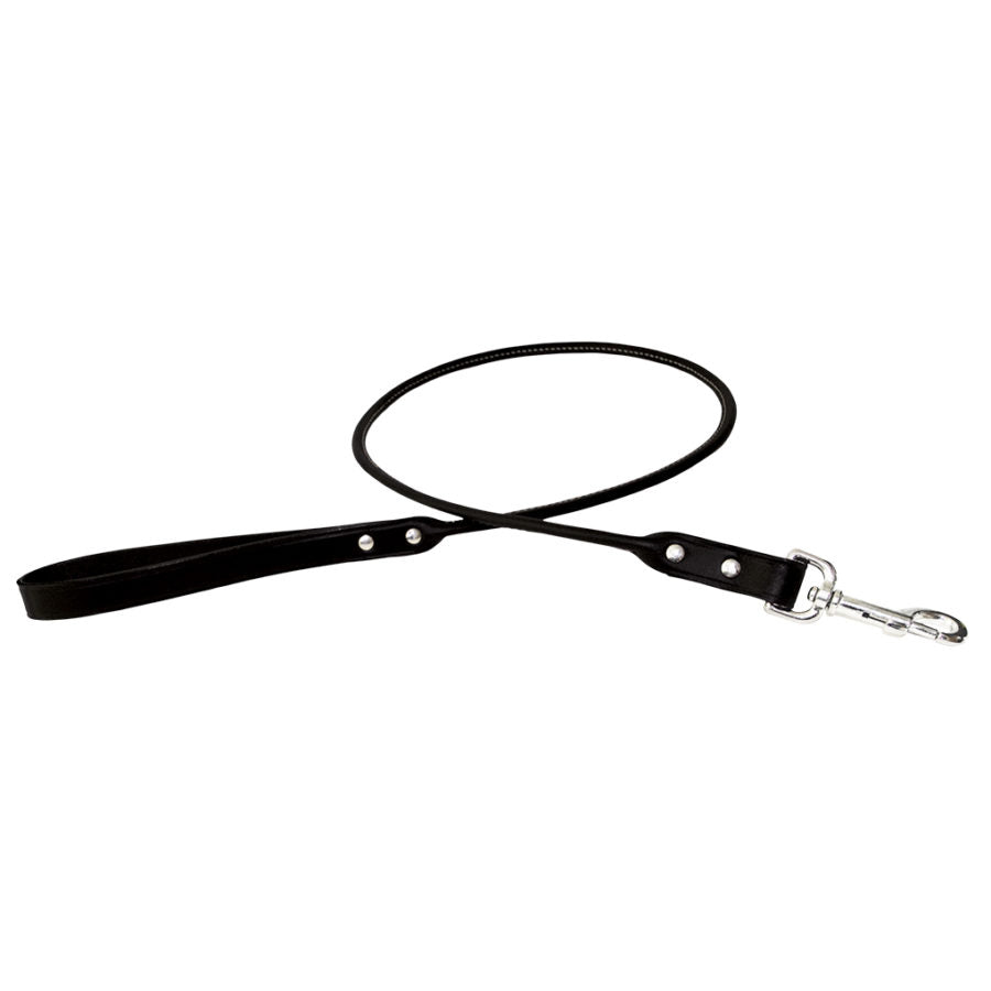 Rolled Leather Dog Leash
