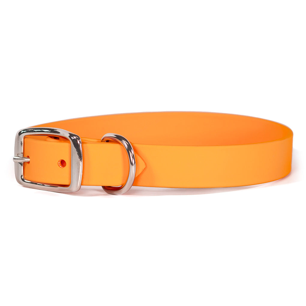 Waterproof Dog Collar