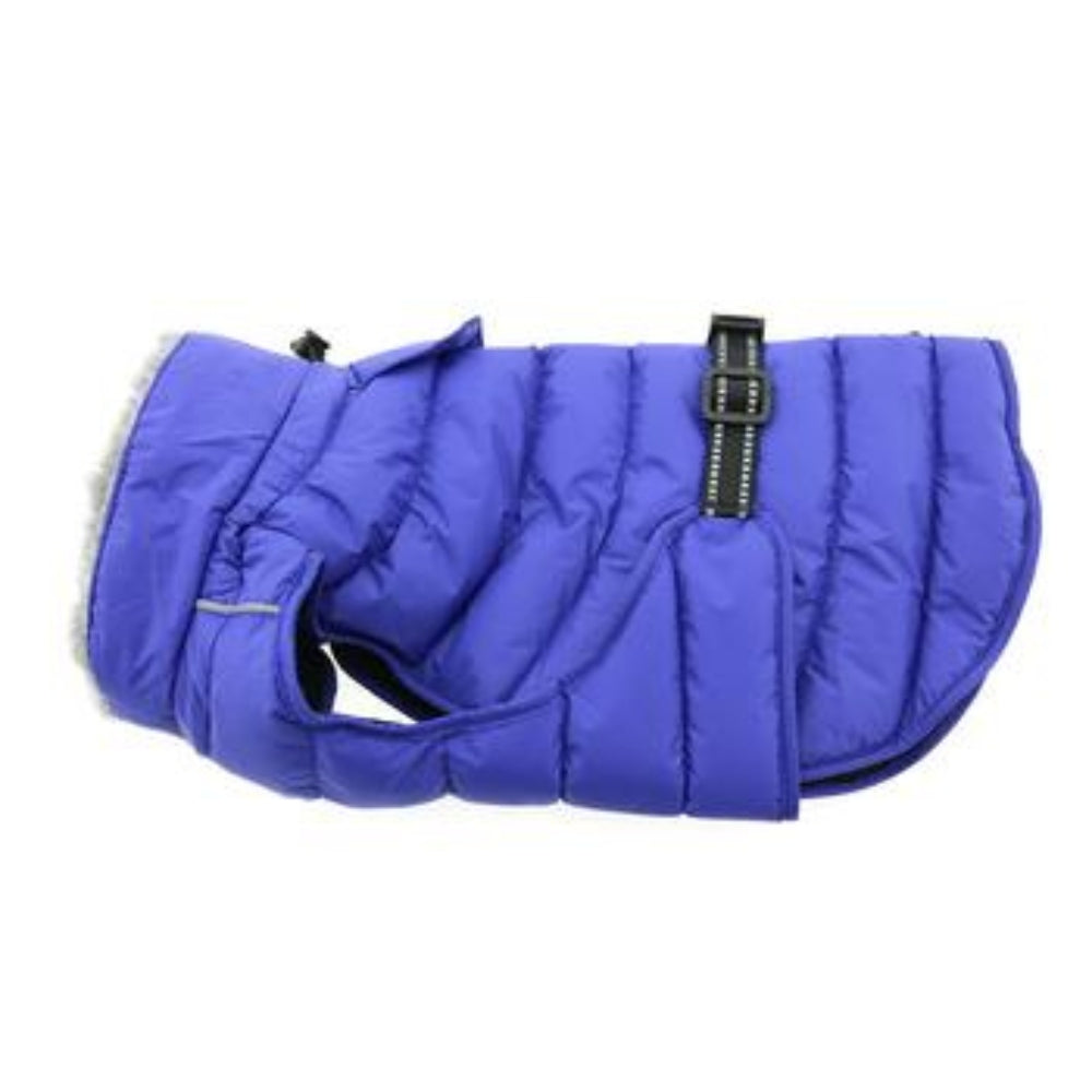 Blue winter dog coat