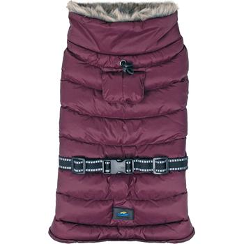 large dog winter coat