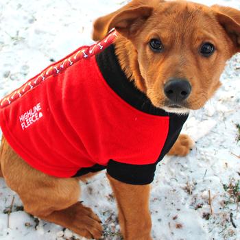 red fleece dog coat