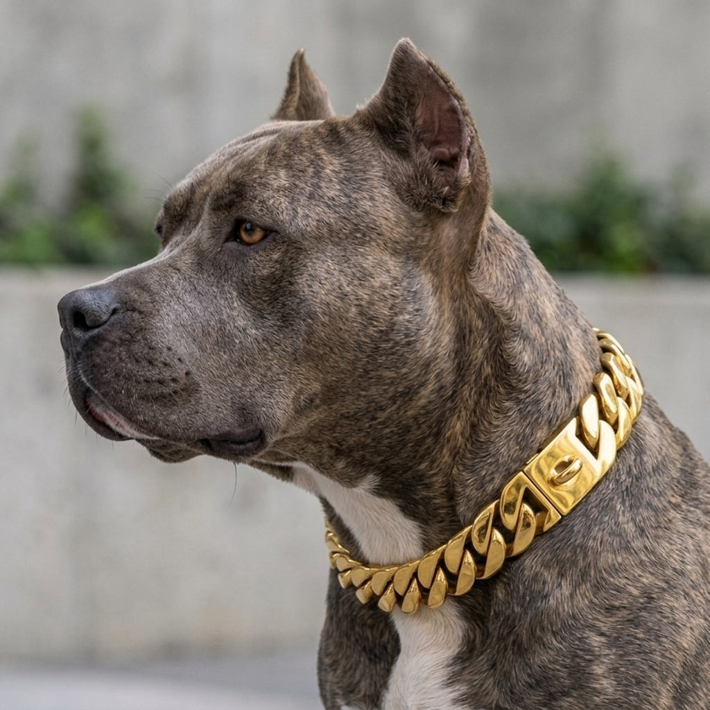 18k Gold Dog Chain Collar - Cuban Link