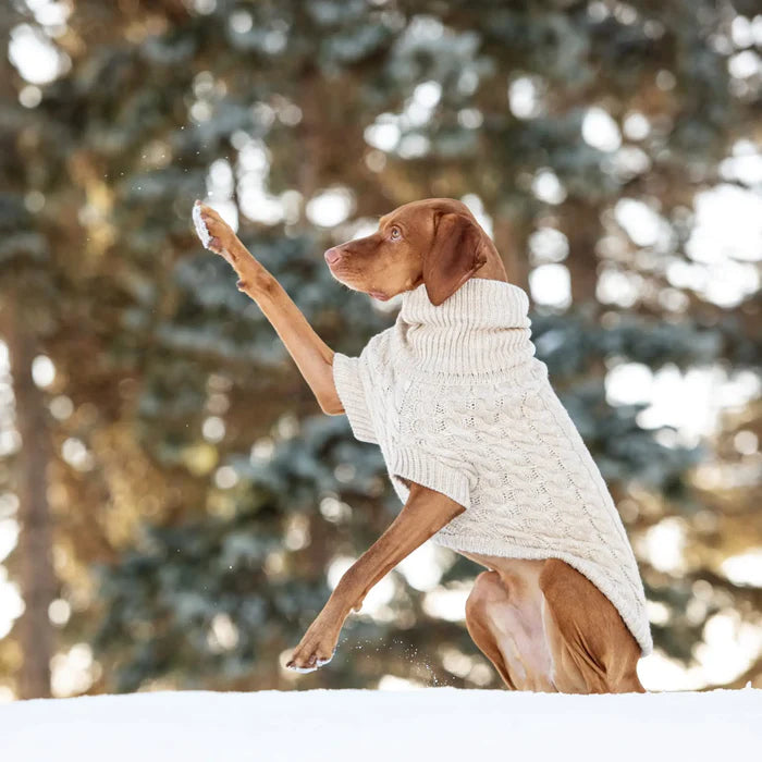 large dog sweater cable knit beige