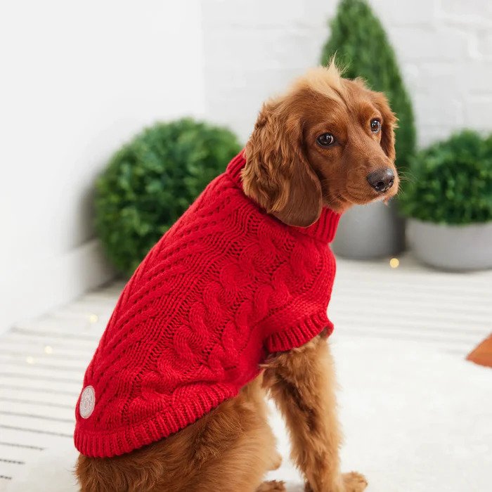 Red valentine dog sweater