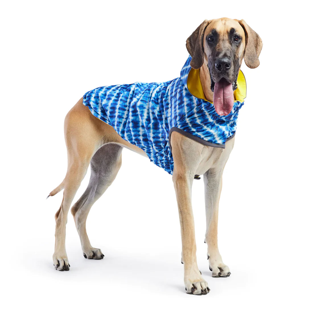 dog rain coat
