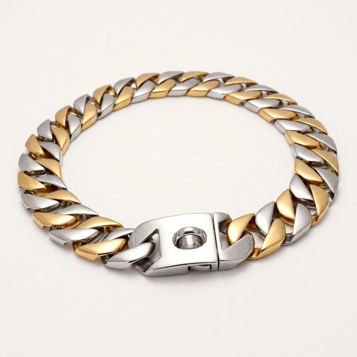 silver and gold big dog chain collar