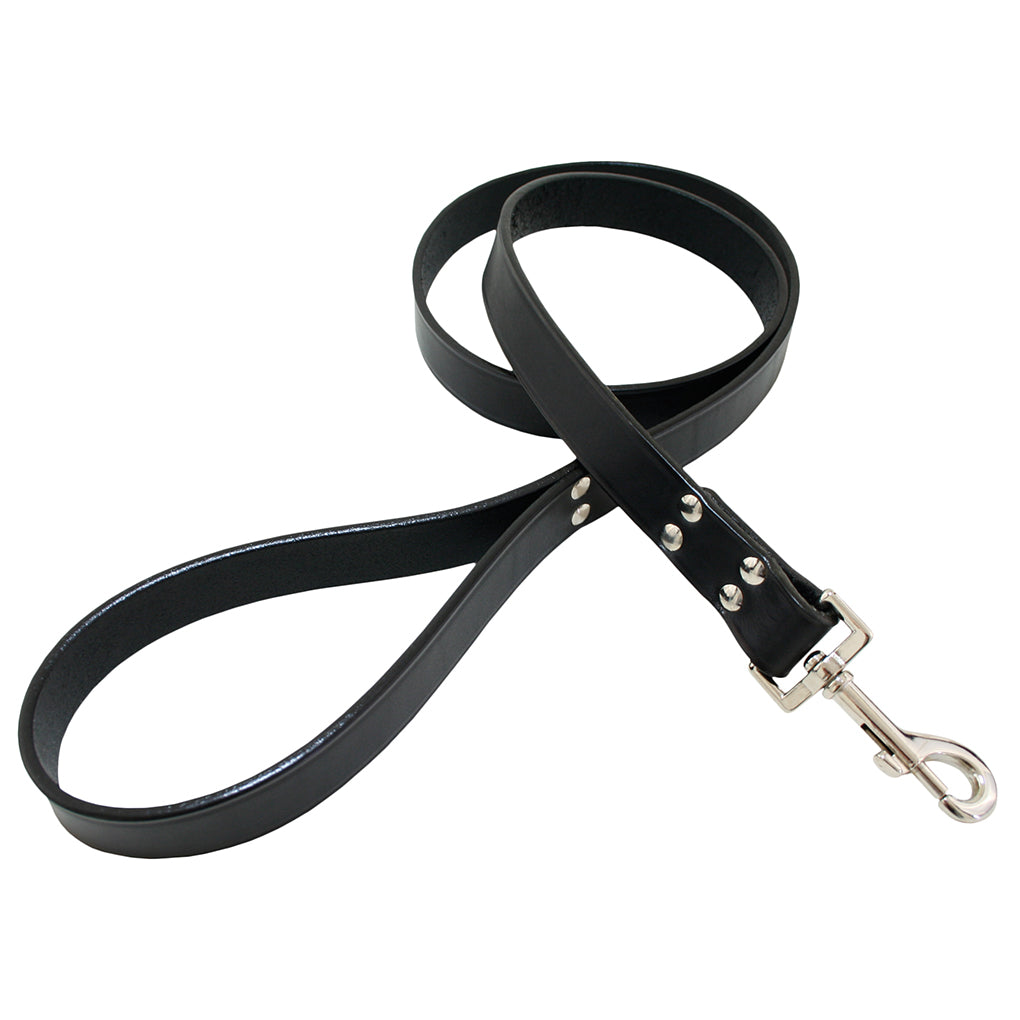 big dog leash