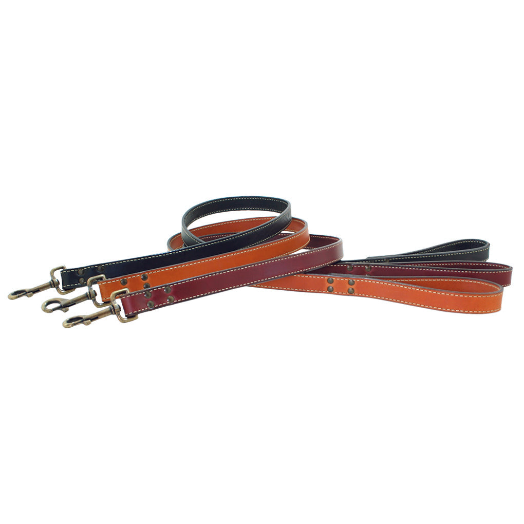 Leather Dog Leash