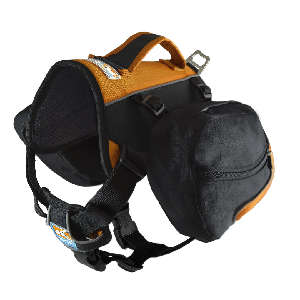 Outdoor dog gear