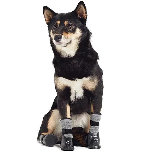 Dog booties