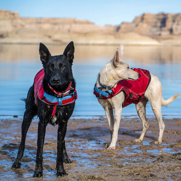 large dog life jacket red