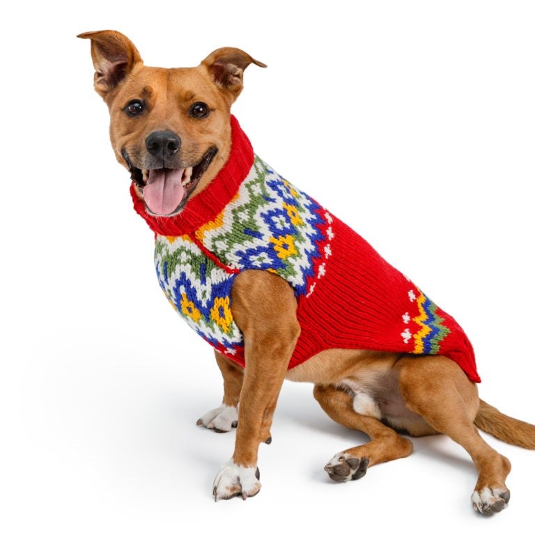 large dog sweater