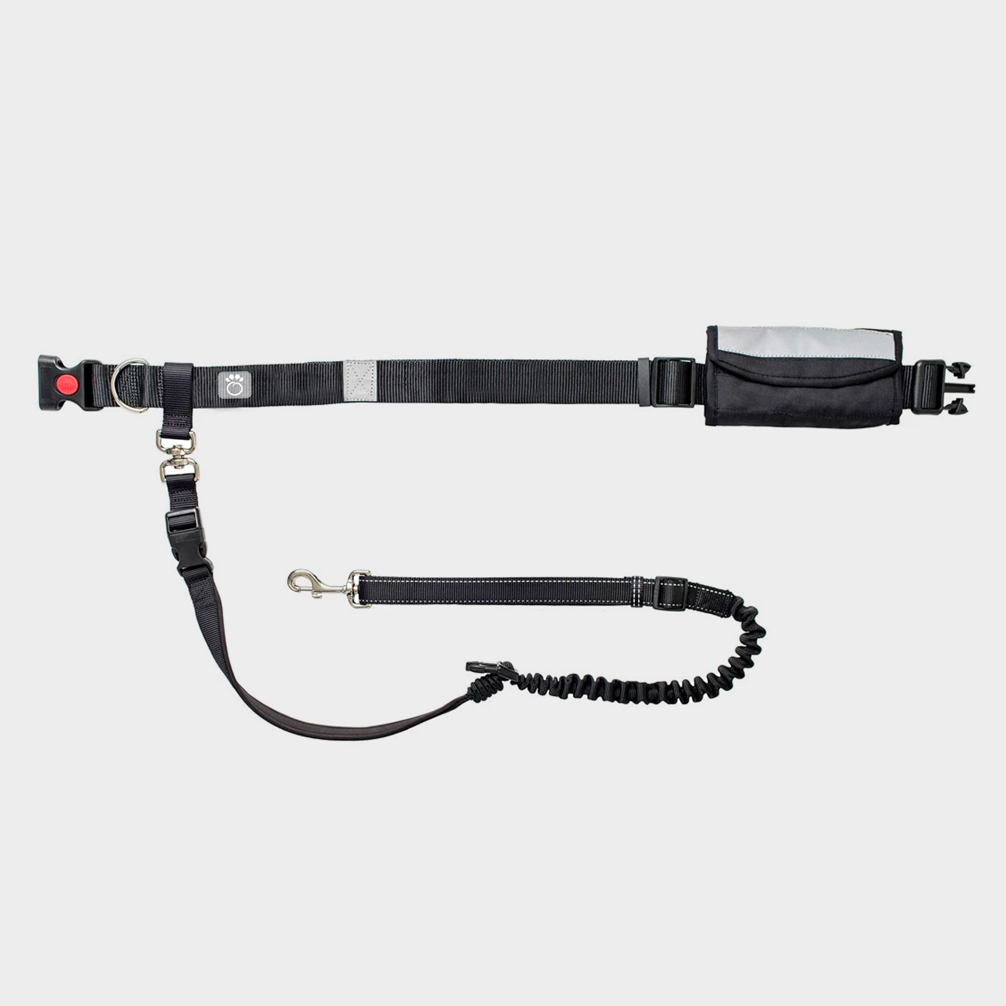 hands free bungee leash and waist belt