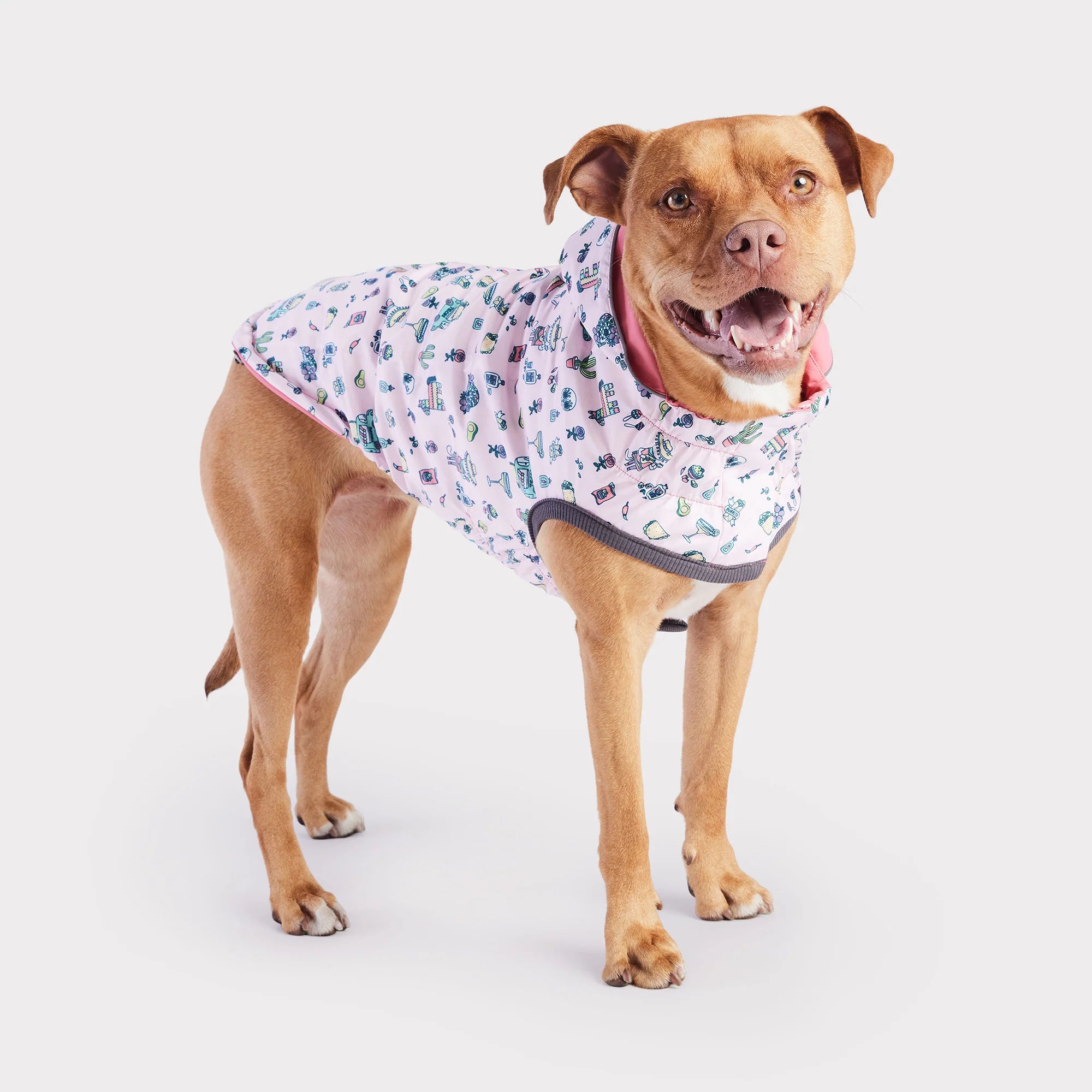 Dog Rain Coat - Reversible Pink Fiesta
