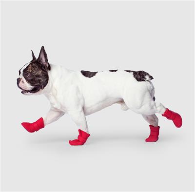 Dog Boots-Unlined Wellies