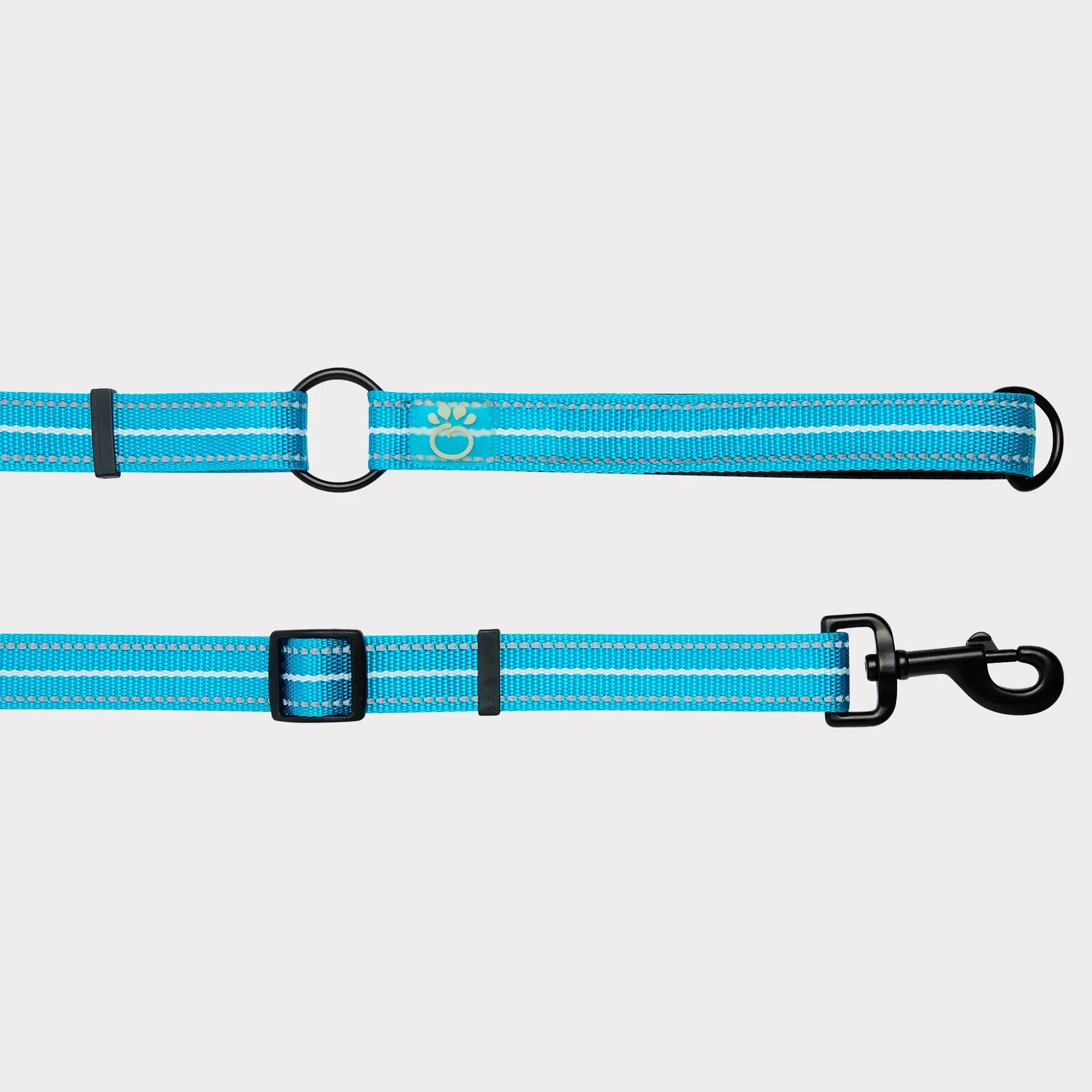 Multi-function dog leash