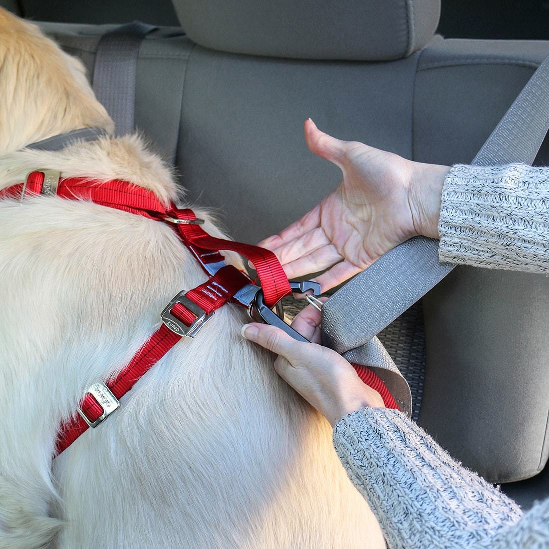Enhanced Strength Kurgo Trufit Dog Harness