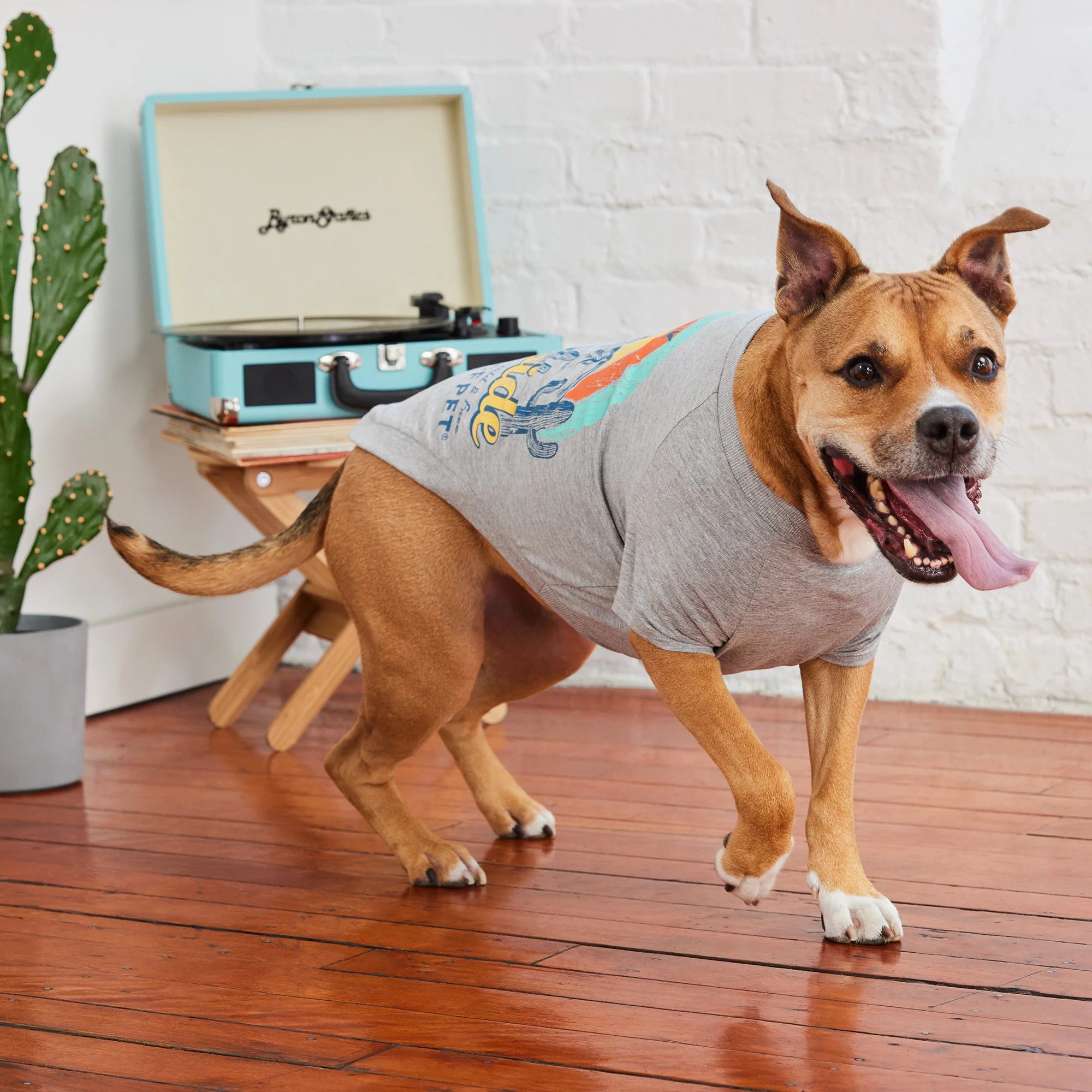 Graphic Tee Dog T-Shirt - Grey