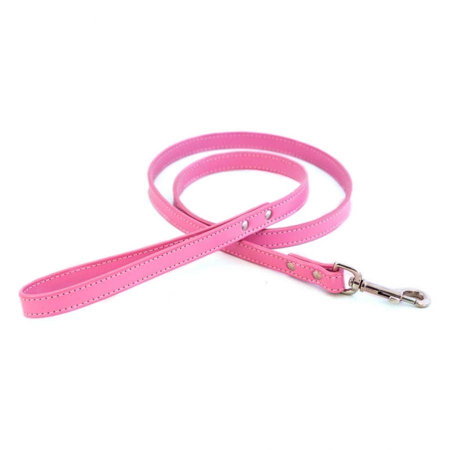 Dover Court Leather Dog Leash