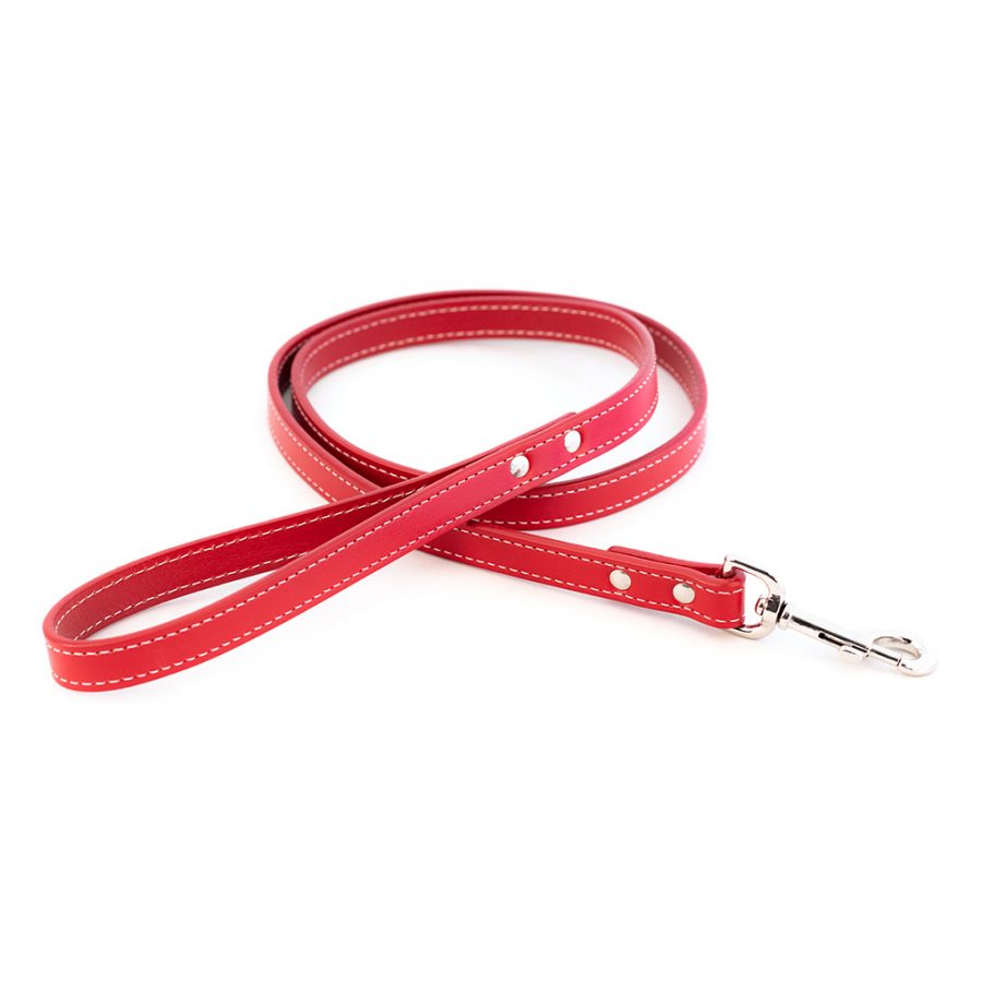Dover Court Leather Dog Leash