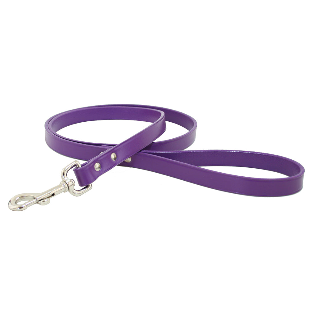 Empire Leather Dog Leash