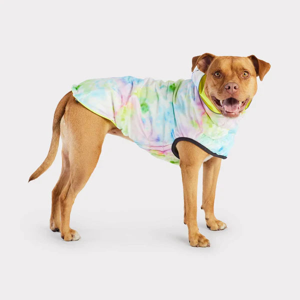 yellow dog rain coat