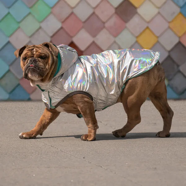 Reversible dog rain coat