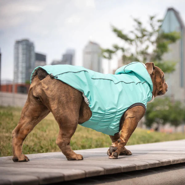 Large dog rain coat