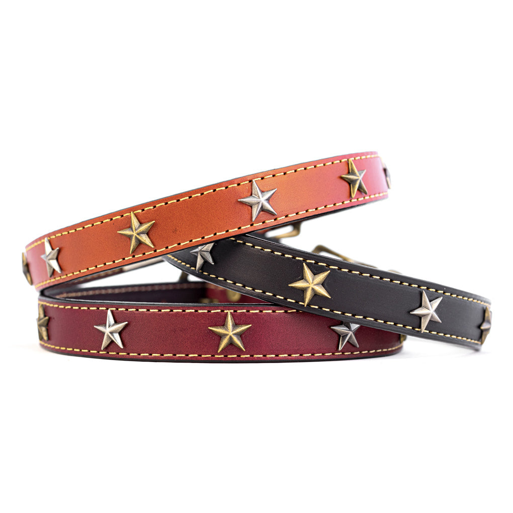 Star Studded Dog Collar