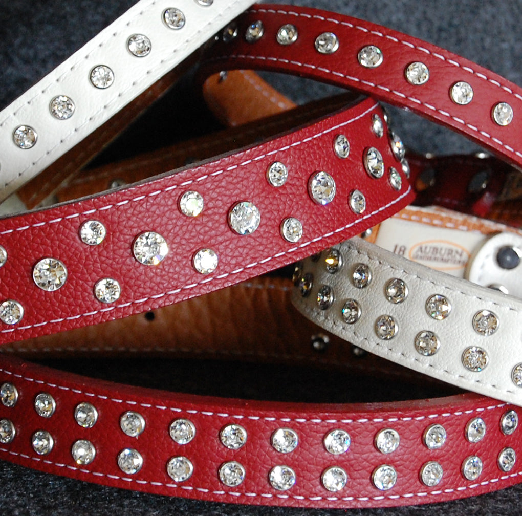 sparkly dog collar