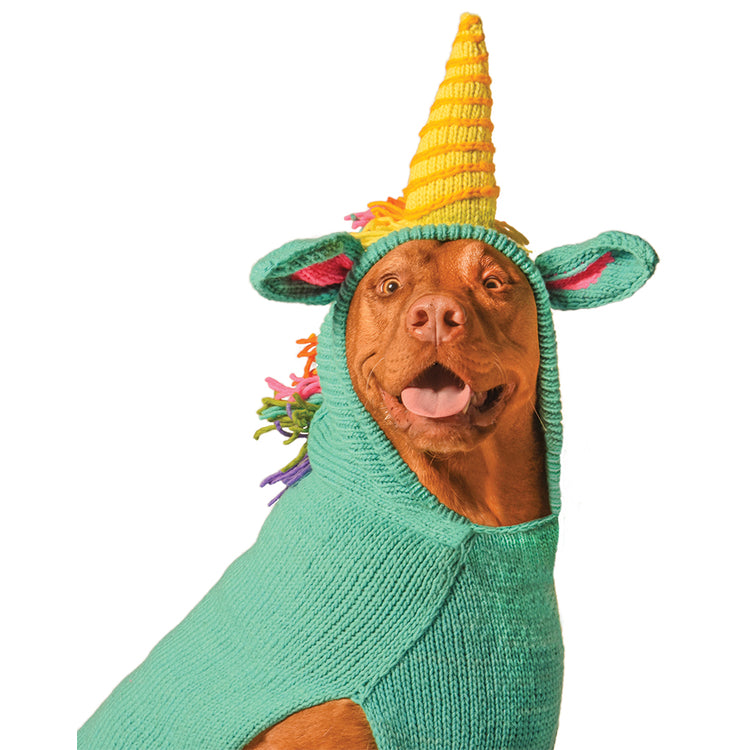 large hoodie dog sweater