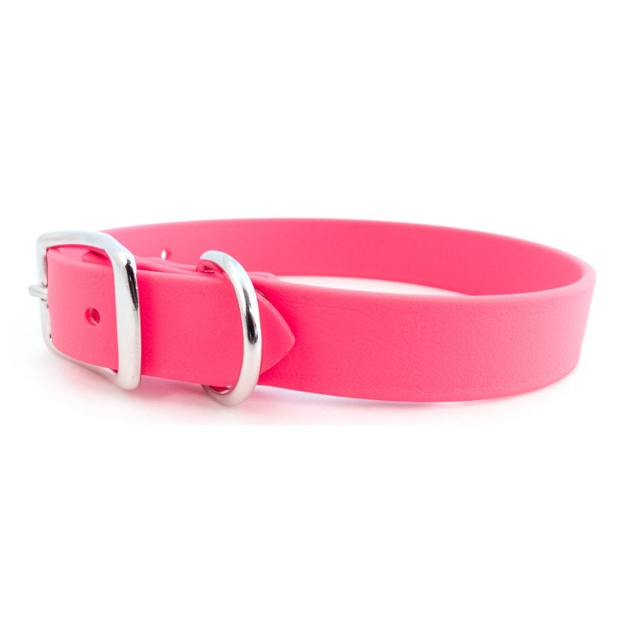 Waterproof Dog Collar