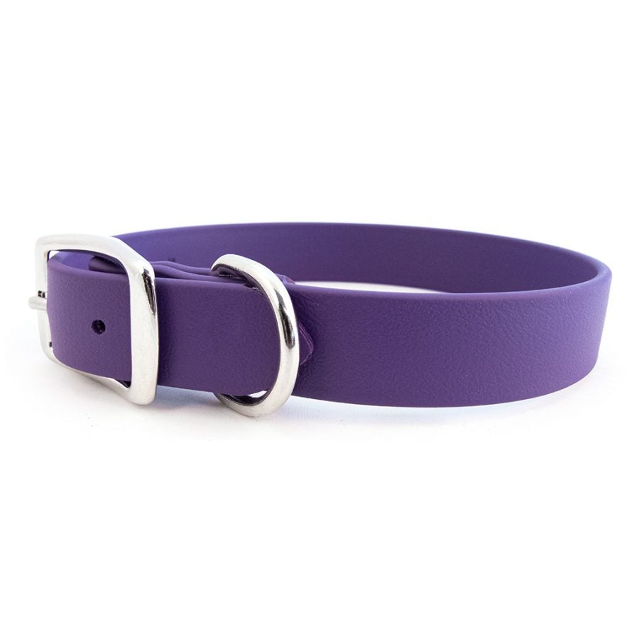 Waterproof Dog Collar