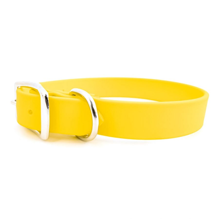 Waterproof Dog Collar