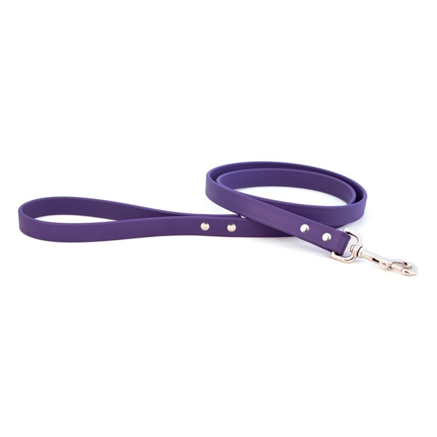 Waterproof Dog Leash